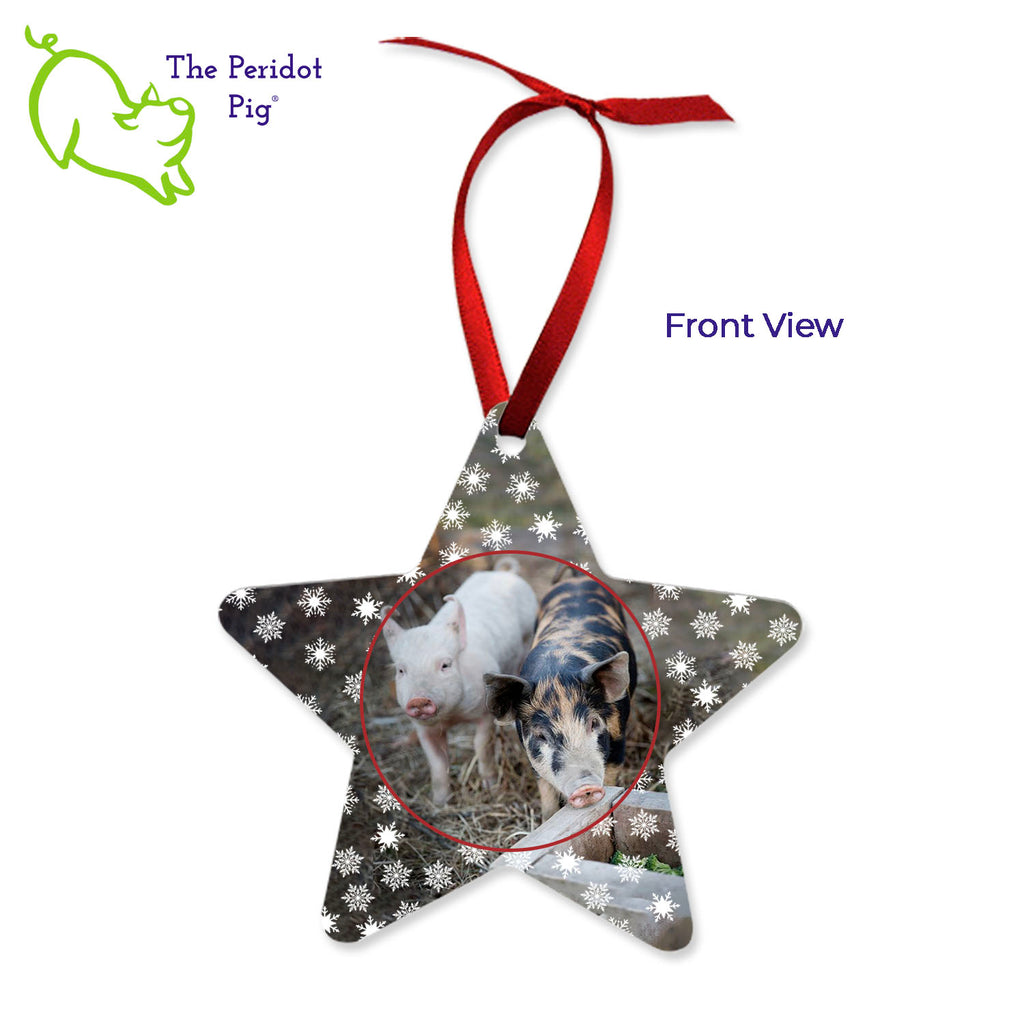 This ornament is perfect for the star in your life. We've shown them here with the name and year on the back with a fun Christmas candy stripe pattern. On the front, choose from 5 different border styles. This style is best with the text on the back but we can customize it in many different ways. Front view shown with snowflakes