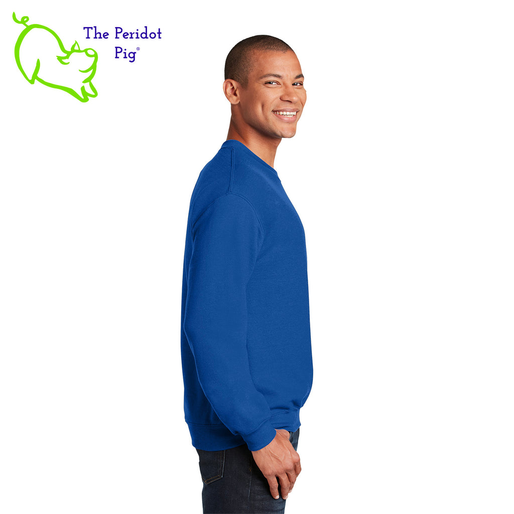 This warm, soft crewneck sweatshirt features our PI day InsPIre theme in vivid print on the front. It's available in four colors to help celebrate PI in style. Side view shown in Royal.